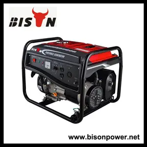 Bisonte(Cina) marca famosa oem fabbrica benzina generatore lt3000cl