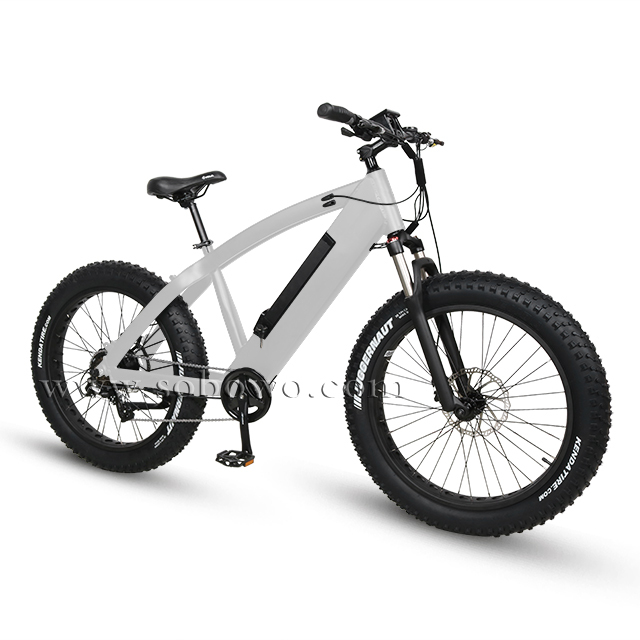 Electric Bike Motor Fat Ebike Oem Mountain E Bike Bicycle Electric