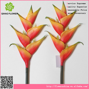 De plástico hermosa flor artificial, pavo real gran venta al por mayor de china - Product Image 1