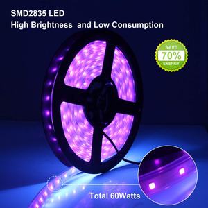 5M 3528 DC12V 60 المصابيح/<span class=keywords><strong>M</strong></span> للماء مرنة الأشعة فوق البنفسجية السوداء جهاز إضاءة نوع ليد ضوء مع 2A محول الطاقة - Product Image 4