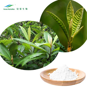% 100% doğal ürün yenidünya yaprağı ekstresi, <span class=keywords><strong>Folium</strong></span> <span class=keywords><strong>Eriobotryae</strong></span> özü, 98% Ursolic asit - Product Image 2