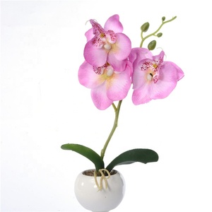 V-1068 Orchidea Phalaenopsis a 3 teste in vaso, fiori di seta per decorazioni domestiche - Product Image 2