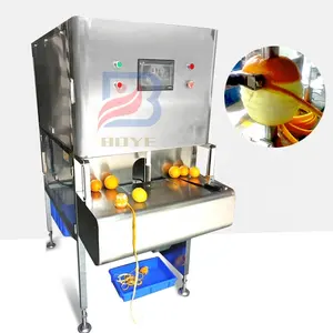 Sıcak Satış tam otomatik yüksek kaliteli kabak Soyma Makinesi ananas soyucu ananas soyma makinesi