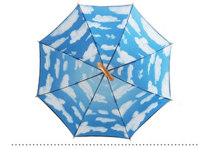 Doble capa interior azul cielo impresión rodando paraguas <span class=keywords><strong>palo</strong></span> de madera - Product Image 5