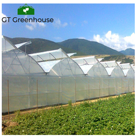 Invernadero Tropical de acero galvanizado, precio barato