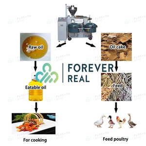 Foreverreal เครื่องอัดอากาศ,เครื่องบดน้ำมัน/เครื่องบดน้ำมันขนาดเล็ก/เครื่องแปรรูปน้ำมันปรุงอาหาร - Product Image 4