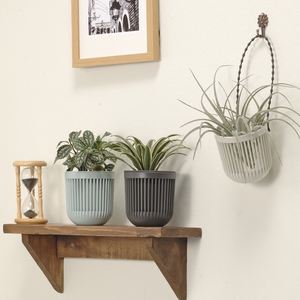 2019 Plastic Bloempotten Kleine Opknoping Mini Bloempot Plastic Tuin Voor Promotie - Product Image 3