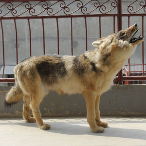 Sống Động Như Thật Động Vật Mô Phỏng Thú Nhồi Bông Sang Trọng Lớn Hoang Dã Wolf - Product Image 2
