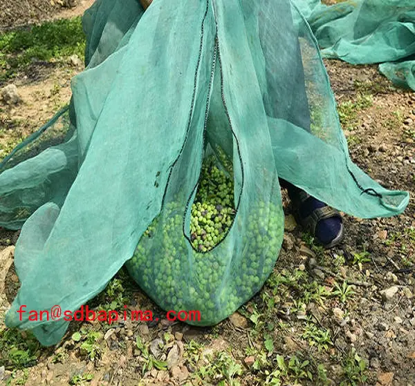 Class A orange uv olive collecting net fruit net for sale