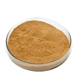 Factory Supplier Food Grade Saponin 60% Natural Quillaja Saponaria Soap Bark Extract