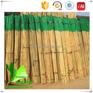 Alta calidad barato seco Natural crudo recto verde jardín Tonkin <span class=keywords><strong>cañas</strong></span> <span class=keywords><strong>de</strong></span> <span class=keywords><strong>bambú</strong></span>/bastones/juego/Stick para venta - Product Image 6