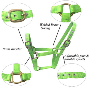 Collar de nailon árabe con cuello Halter, diseño de tu propio <span class=keywords><strong>Caballo</strong></span>, productos de marca privada - Product Image 2
