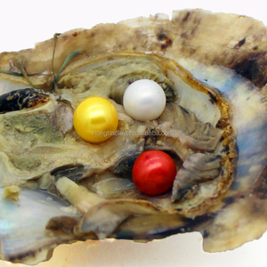 Natural <strong>Pearl</strong> <strong>From</strong> <strong>Clam</strong> Shell 3 Births 4A Round 7-8 mm Natural Freshwater <strong>Pearls</strong> in Oysters With Vacuum Packaging Party Mysterio