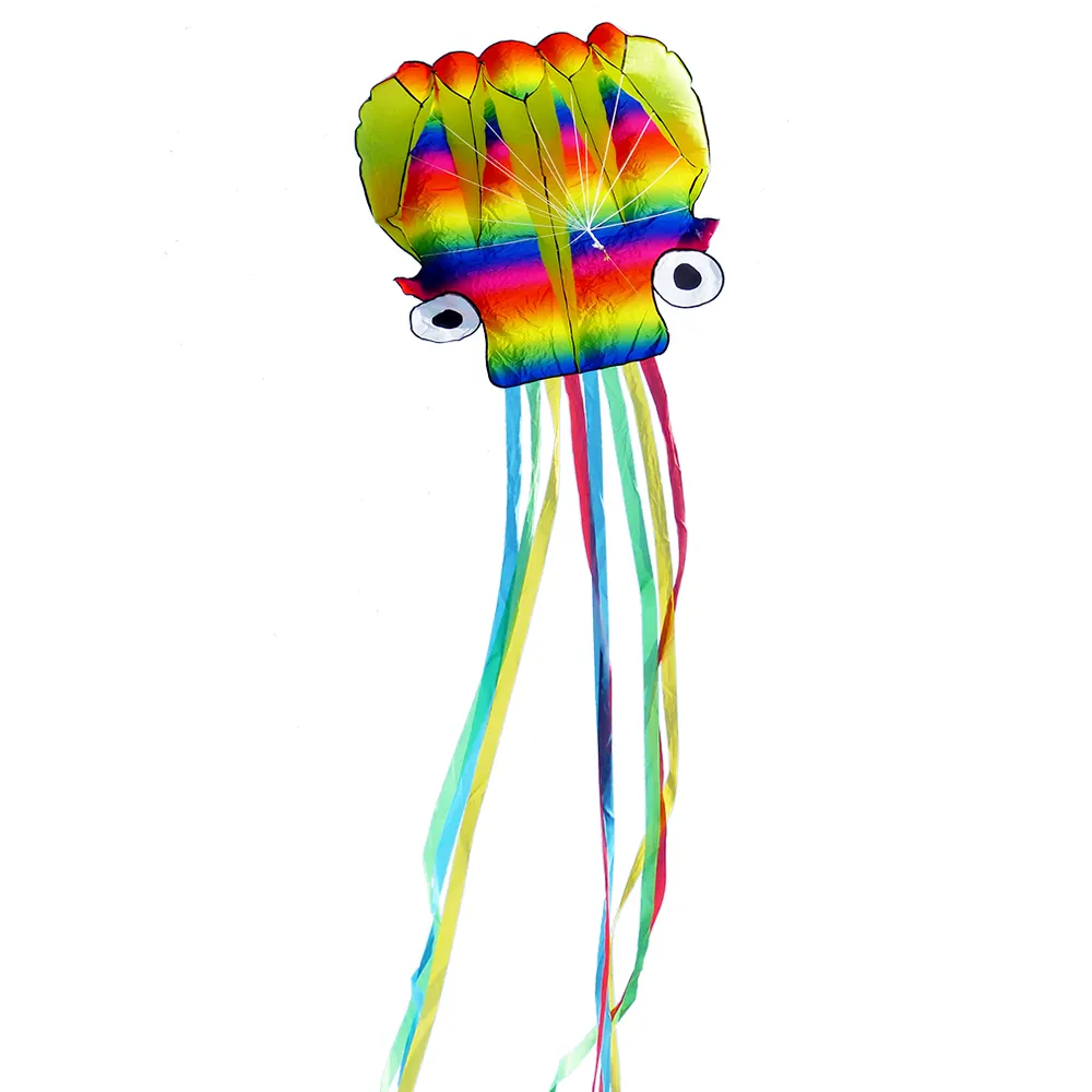 single line 5 m large sport kite /rainbow color octopus