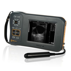 Máquinas <span class=keywords><strong>de</strong></span> Diagnóstico <span class=keywords><strong>de</strong></span> Gestación Bovina Farmscan L60 a <span class=keywords><strong>Precio</strong></span> Accesible con Transductor Rectal Lineal, Ultrasonido Portátil - Product Image 2