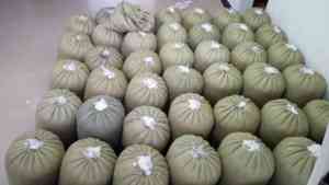 80% Rửa Sạch Trắng Ngỗng Xuống Nguyên Liệu FP 700 90% Màu Xám Ngỗng Xuống Ngỗng Xuống Điền Nguyên Liệu Điền Vào Điện 800 - Product Image 3