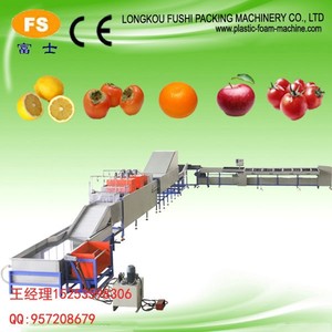 <span class=keywords><strong>Fruits</strong></span> et légumes Machine de Traitement - Product Image 5
