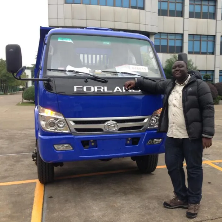 중국 싼 Foton Forland 4x4 미니 새로운 덤프 트럭 판매