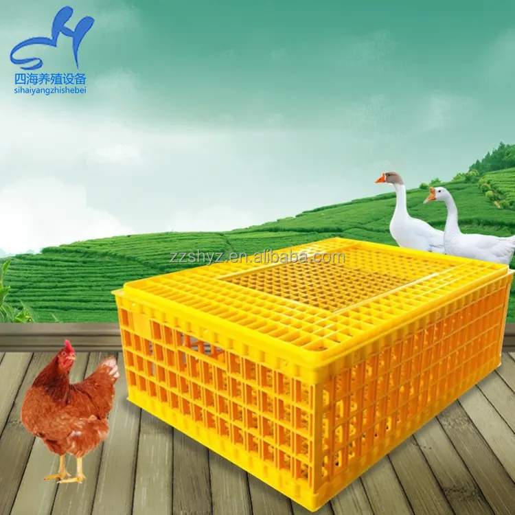 Cage de transport pour élevage de volaille, cailles ou de pigeons, à utiliser pour élevage de volaille