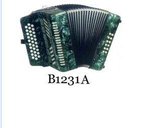 Bouton <span class=keywords><strong>d</strong></span>'<span class=keywords><strong>accordéon</strong></span> 12 basse 31 - Product Image 2
