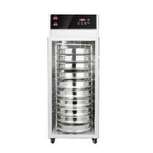 Spice Dehydrator Machine Potato Mango Tomato Banana Drying Machine