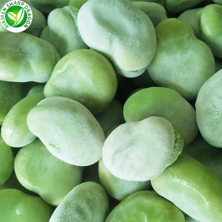 Bulk fresh new crop IQF peeled raw green frozen broad beans australia Organic Freeze Freezing Healthy Natural Wholesale Price