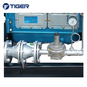Exported to Europe 10kw <strong>Biogas</strong> <strong>Generator</strong> with Chp - Product Image 6