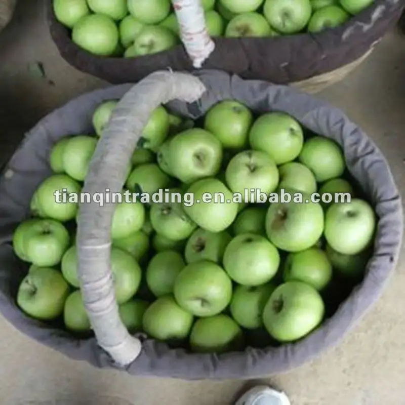 hijau Cina gala apple 