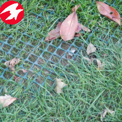 Mesh di Rinforzo con <span class=keywords><strong>Erba</strong></span> <span class=keywords><strong>Erba</strong></span> di plastica di Protezione - Product Image 4