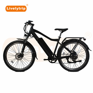 Vélo électrique à assistance au pédalage de type nouveau 2019 <span class=keywords><strong>EN</strong></span> <span class=keywords><strong>15194</strong></span>, moteur de moyeu arrière, vélo - Product Image 1