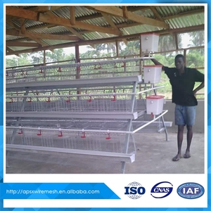 Jaulas de aves de corral <span class=keywords><strong>para</strong></span> la venta <span class=keywords><strong>para</strong></span> la capa de cría - Product Image 4