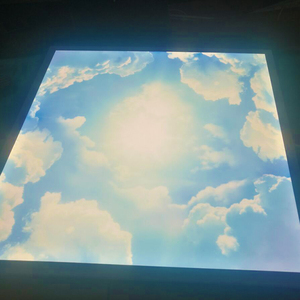 Skylight-<span class=keywords><strong>panel</strong></span> de luz <span class=keywords><strong>led</strong></span> para techo, <span class=keywords><strong>panel</strong></span> de luz <span class=keywords><strong>led</strong></span> para techo de interior - Product Image 3
