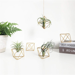 Elegante <span class=keywords><strong>maceta</strong></span> colgante de Metal dorado montada en la pared, diseño geométrico, soporte de marco de <span class=keywords><strong>maceta</strong></span> para uso en jardín, condición de suelo - Product Image 3