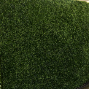 Customized Green Garden Decoration Fence <strong>Vertical</strong> <strong>Planter</strong> and Artificial Box Hedge <strong>Wall</strong> Made of Durable Plastic - Product Image 2