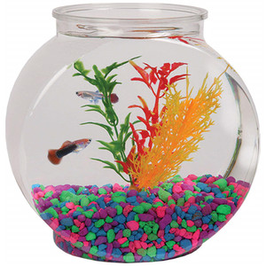 Plastic Aquarium - Product Image 4