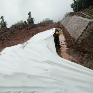 चीन उच्च गुणवत्ता गैर बुना polypropylene कपड़े अस्तर के लिए भू टेक्सटाइल