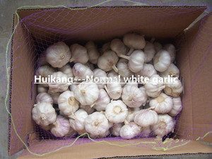 5 centimetri 5.5 centimetri 6 centimetri aglio Fresco - Product Image 6