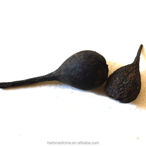 Naturais e secos todo preto xylaria nigripes klotzsch cooke sclerotium para ervas - Product Image 3