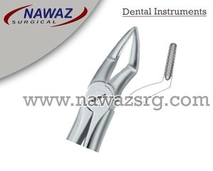 Pince d'extraction de dents Fig51 Produits de logo personnalisé de haute qualité Instruments dentaires en acier inoxydable - Product Image 2