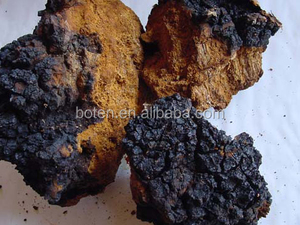 Sıcak satış <span class=keywords><strong>Chaga</strong></span> özü - Product Image 3