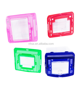 Lot De 24 Pc Poissons Tortue Petit Réservoir Livraison Gratuite 7.5 "En Gros - Product Image 6