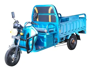 New 3 Wheel Electric Motorized Cargo Tricycle from China