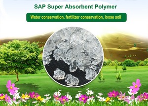 Rắn Mưa Cho Nhà Máy Nông Nghiệp Siêu Thấm Polymer <span class=keywords><strong>SAP</strong></span> Nhà Máy Nhựa - Product Image 5