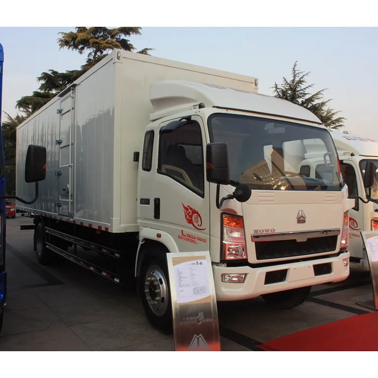 China Sino small truck light van cargo truck