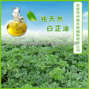 aceite de angélica - Product Image 1