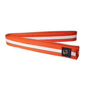 Ceintures d'arts martiaux populaires, <span class=keywords><strong>couleur</strong></span> <span class=keywords><strong>de</strong></span> bande personnalisée, <span class=keywords><strong>ceinture</strong></span> <span class=keywords><strong>de</strong></span> karaté, <span class=keywords><strong>couleur</strong></span> d'arts martiaux, <span class=keywords><strong>ceinture</strong></span> <span class=keywords><strong>de</strong></span> karaté, <span class=keywords><strong>taekwondo</strong></span>, judo, <span class=keywords><strong>ceinture</strong></span> noire - Product Image 2