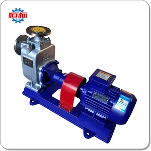 Stainless Steel Self Priming Centrifugal Pumps Electric Motor Sea Water Transfer Pump Seawater Pump Standard Mechanical Seal ZW