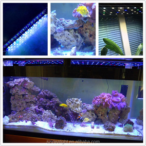 Gros chine usine 220 w 4ft 75 gallons 100 gallons aquarium conduit les feux de navigation pour <span class=keywords><strong>grand</strong></span> aquarium récif de corail - Product Image 1