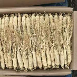 無料サンプルティエンチ人参人参根人参ハラール - Product Image 3