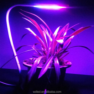 Dónde <span class=keywords><strong>comprar</strong></span> luces <span class=keywords><strong>LED</strong></span> y las mejores luces decorativas <span class=keywords><strong>para</strong></span> <span class=keywords><strong>cultivo</strong></span> - Product Image 5